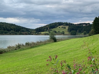 Liegewiese am Spiegelteich