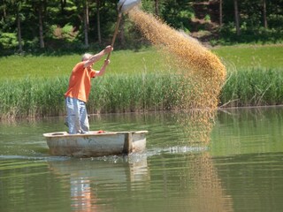 Appartamento per vacanze Preding Ambiente 15