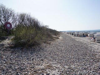 Düne
