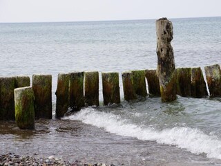 Ostseewellen