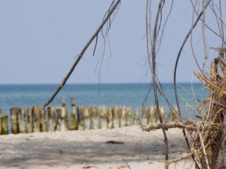 Ostseeträume