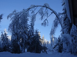 Casa per le vacanze Egg in Vorarlberg Ambiente 19