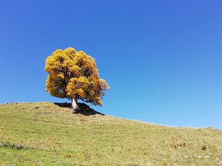 Casa per le vacanze Egg in Vorarlberg Ambiente 24