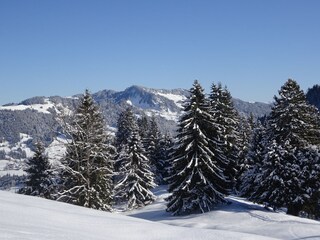 Vakantiehuis Egg in Vorarlberg Omgeving 18