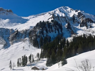 Vakantiehuis Egg in Vorarlberg Omgeving 20