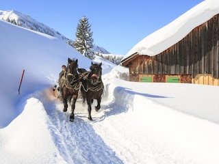 Vakantiehuis Egg in Vorarlberg Omgeving 17