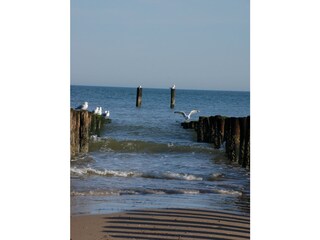 Vakantiehuis Oostkapelle Omgeving 18