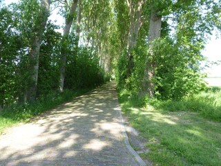 Appartement Domburg Omgeving 17