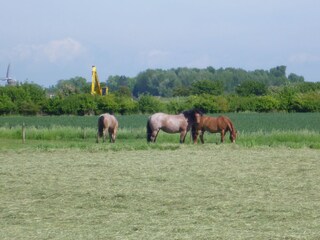 Appartamento Domburg Ambiente 17