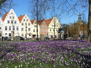 Zentrum