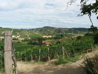 Appartamento per vacanze Monastero Bormida Ambiente 22