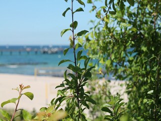 Apartamento Wichmannsdorf Entorno 30