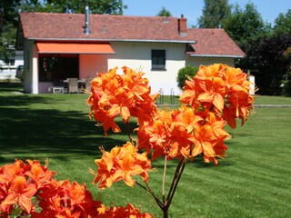 Casa de vacaciones Beaufort (Luxemburg) Grabación al aire libre 2