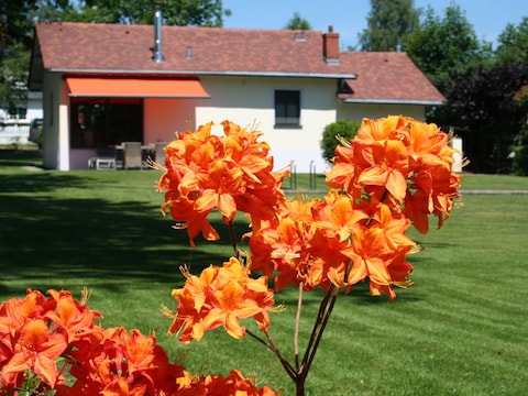 Holiday house Black Pearl