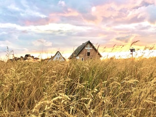 Ferienwohnung Neuendorf (Hiddensee) Umgebung 32