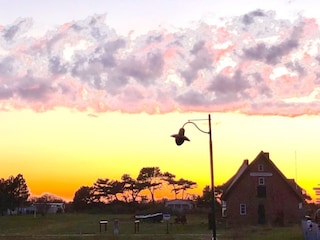 Abendstimmung zum Sonnenuntergang