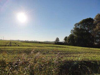 Blick in die Natur