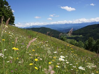 Appartamento per vacanze St. Urban Registrazione all'aperto 2