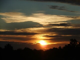 Landschaft