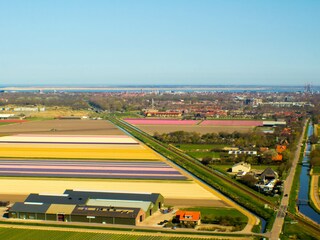 Holiday apartment Julianadorp Environment 35