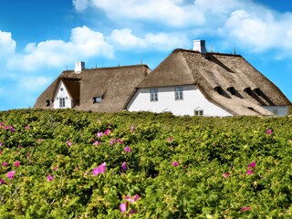 Appartamento per vacanze Keitum Ambiente 18