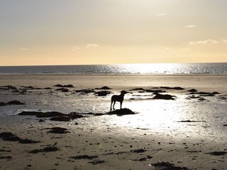 Casa vacanze Saint-Nicolas-de-Pierrepont Ambiente 17