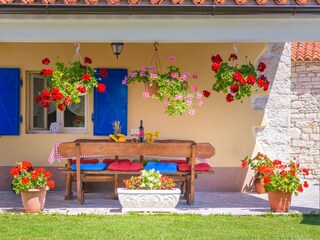 Villa Žminj Buitenaudio-opname 8