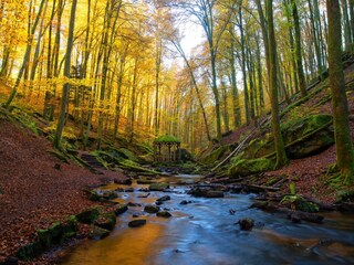 Casa per le vacanze Lindenberg (Pfalz) Ambiente 18