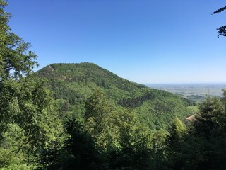Casa per le vacanze Lindenberg (Pfalz) Ambiente 20