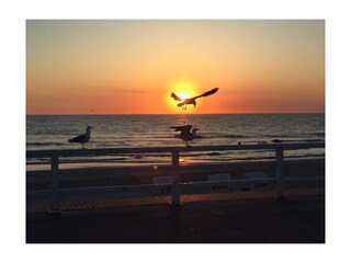 Casa per le vacanze Renesse Ambiente 21