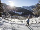 Vakantiehuis Kirchdorf in Tirol Omgeving 1