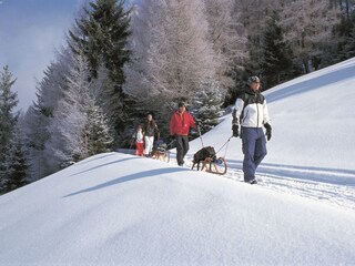 Casa de vacaciones Kirchdorf in Tirol Entorno 29
