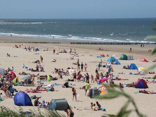 Appartamento per vacanze Nieuwvliet Ambiente 15