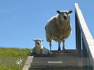 Ferienwohnung Dorum-Neufeld Außenaufnahme 3