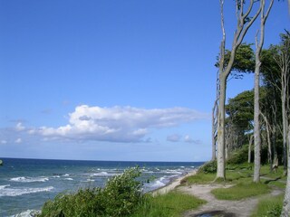 Blick nach Warnemünde