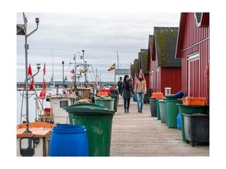 Victoria- Ausflug zum Fischereihafen Weiße Wiek