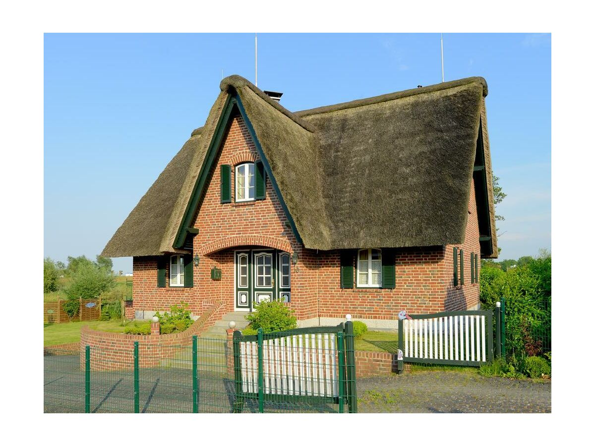 Wildrose Ferienhaus
