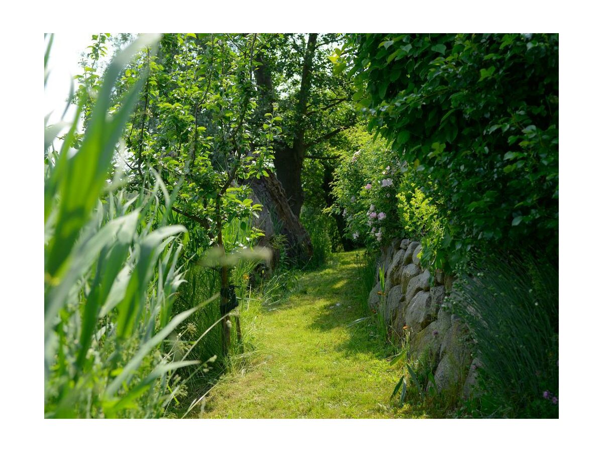 Wildrose - Blick auf die Idylle rund um das Haus