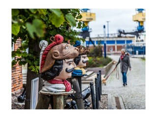 Wismar - Schwedenkopf am Baumhaus beim Ohlerich Speicher