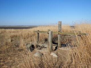 Dangast im Winter