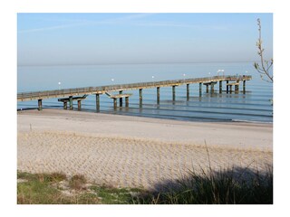 Seebrücke in Rerik