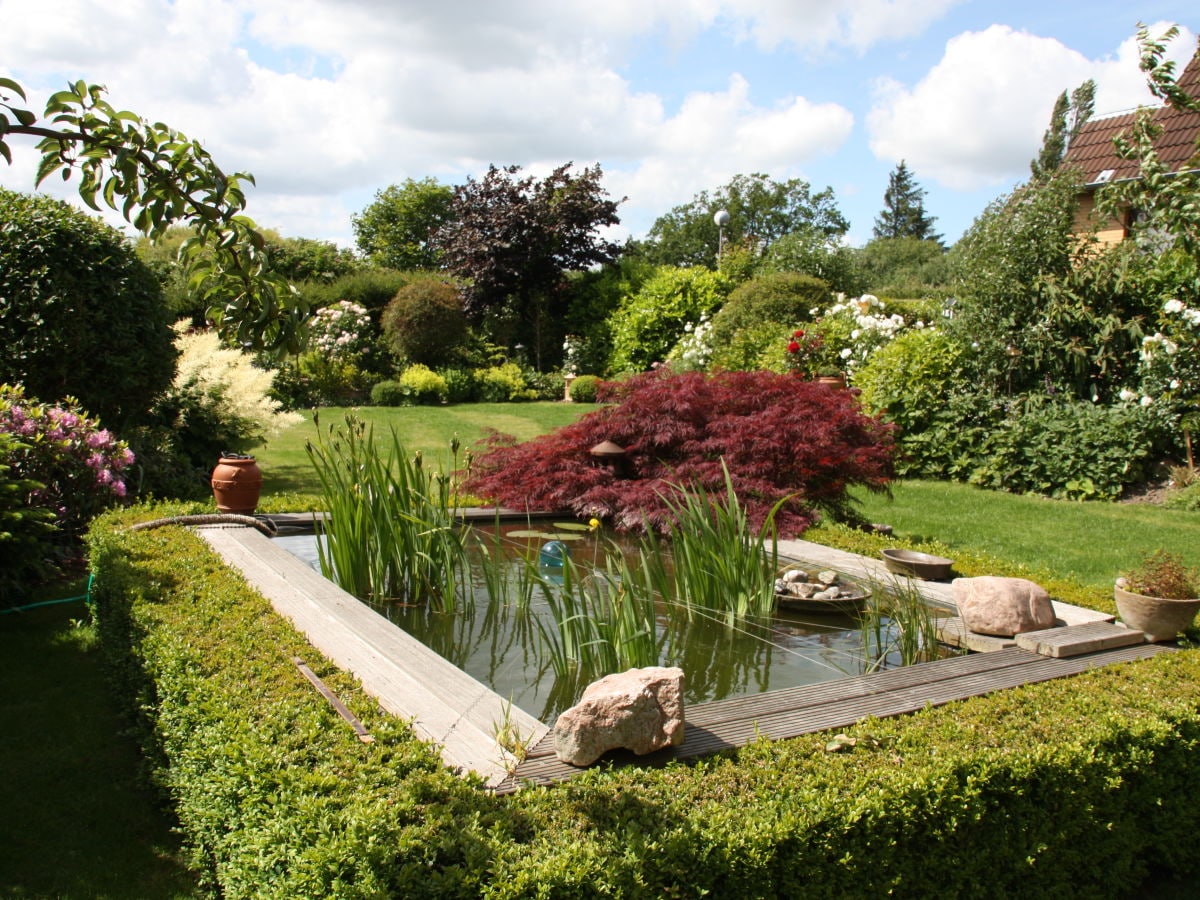 Blick in den Garten