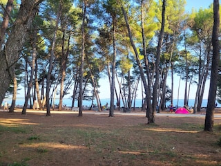 Apartamento de vacaciones Rovinj Entorno 18