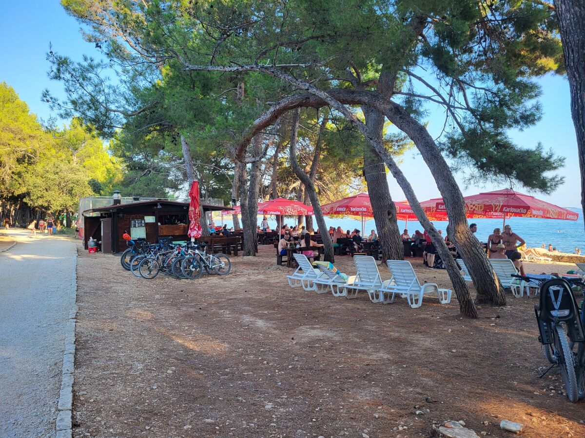 Bar am Strand Cuvi