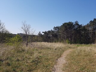 Vakantieappartement Egmond aan den Hoef Omgeving 15