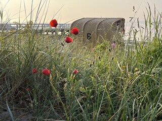 Ferienwohnung Hohwacht Umgebung 24