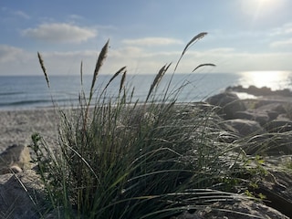 Ferienwohnung Hohwacht Umgebung 32