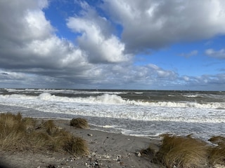 Ferienwohnung Hohwacht Umgebung 33