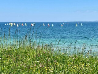 Ferienwohnung Hohwacht Umgebung 26