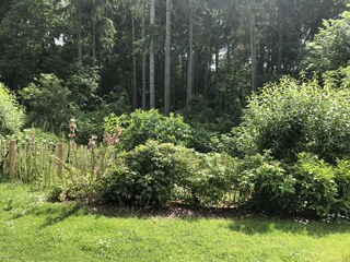 Im Grünen hinter dem Haus